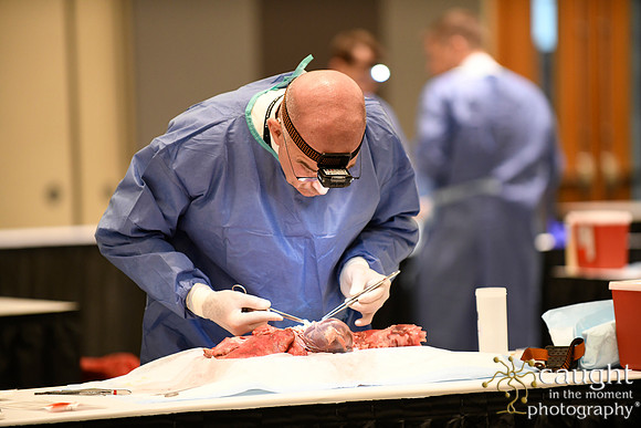 897 STS2024-Hands-On Courses