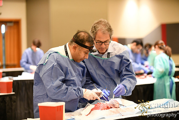 898 STS2024-Hands-On Courses