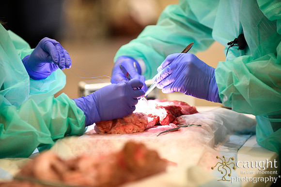 901 STS2024-Hands-On Courses