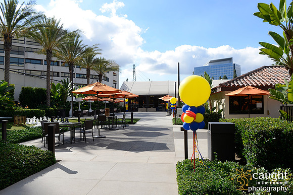 055 MPIOC November Workshop & Luncheon at Hotel Irvine