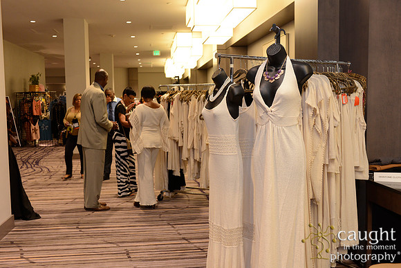 480 National Coalition of 100 Black Women Biennial Conference 2015