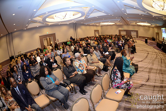 106 National Coalition of 100 Black Women Biennial Conference 2015