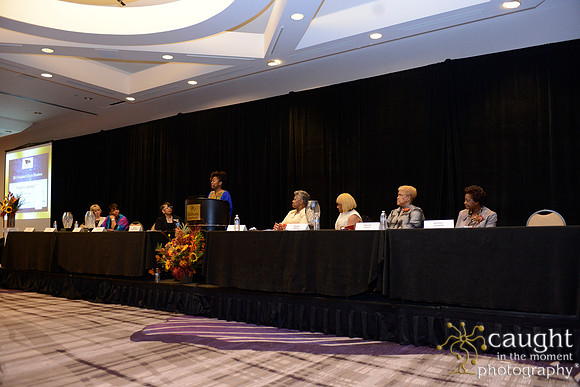 116 National Coalition of 100 Black Women Biennial Conference 2015