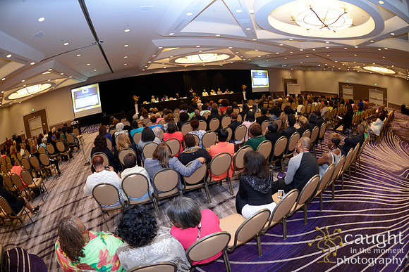 121 National Coalition of 100 Black Women Biennial Conference 2015