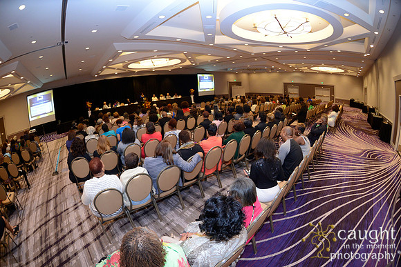 122 National Coalition of 100 Black Women Biennial Conference 2015