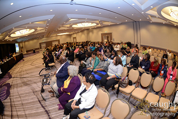 123 National Coalition of 100 Black Women Biennial Conference 2015