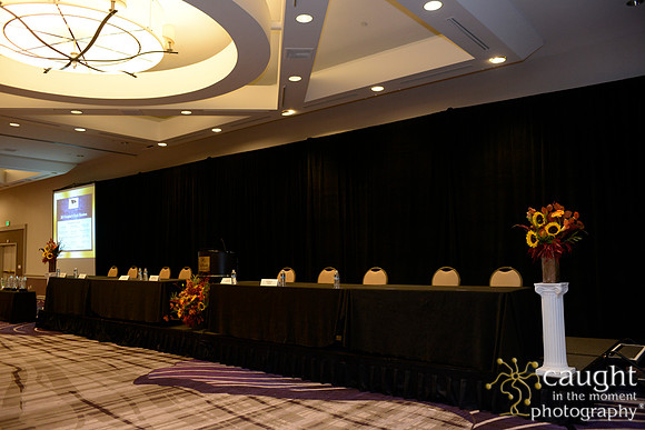 031 National Coalition of 100 Black Women Biennial Conference 2015