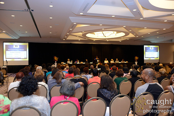 119 National Coalition of 100 Black Women Biennial Conference 2015