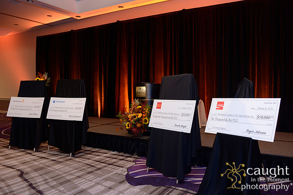 509 National Coalition of 100 Black Women Biennial Conference 2015