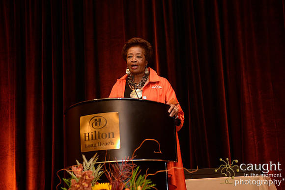 596 National Coalition of 100 Black Women Biennial Conference 2015