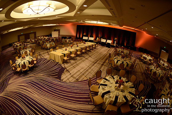 516 National Coalition of 100 Black Women Biennial Conference 2015