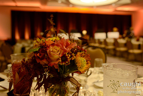 525 National Coalition of 100 Black Women Biennial Conference 2015