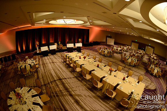 520 National Coalition of 100 Black Women Biennial Conference 2015