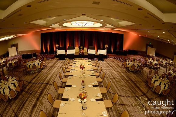 518 National Coalition of 100 Black Women Biennial Conference 2015