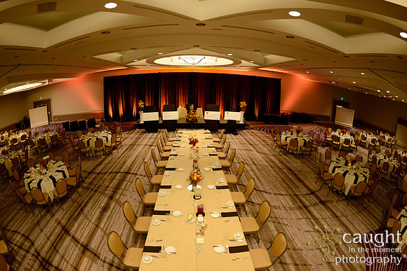 519 National Coalition of 100 Black Women Biennial Conference 2015