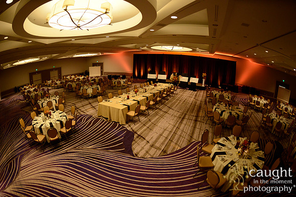 515 National Coalition of 100 Black Women Biennial Conference 2015