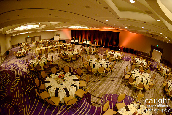 517 National Coalition of 100 Black Women Biennial Conference 2015