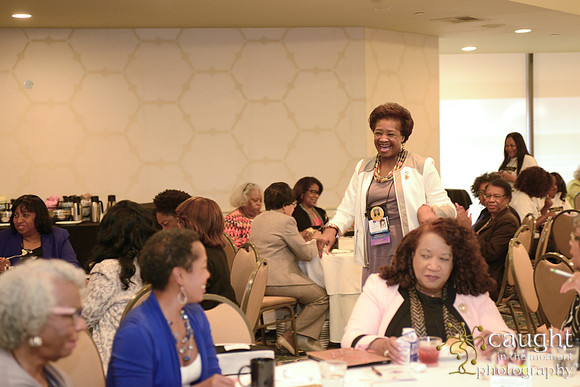 270 National Coalition of 100 Black Women Biennial Conference 2015