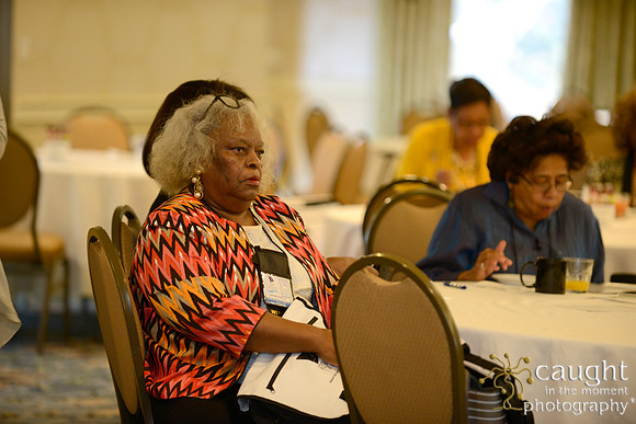 244 National Coalition of 100 Black Women Biennial Conference 2015