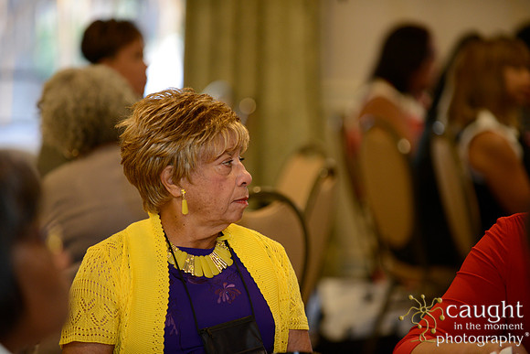245 National Coalition of 100 Black Women Biennial Conference 2015