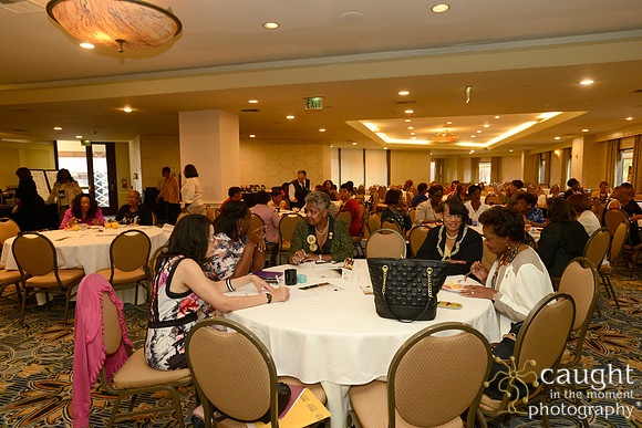 225 National Coalition of 100 Black Women Biennial Conference 2015