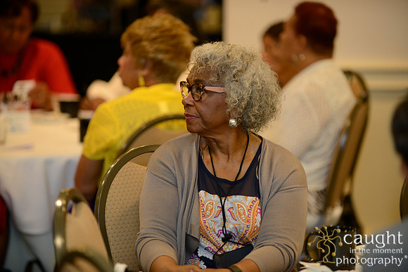 252 National Coalition of 100 Black Women Biennial Conference 2015