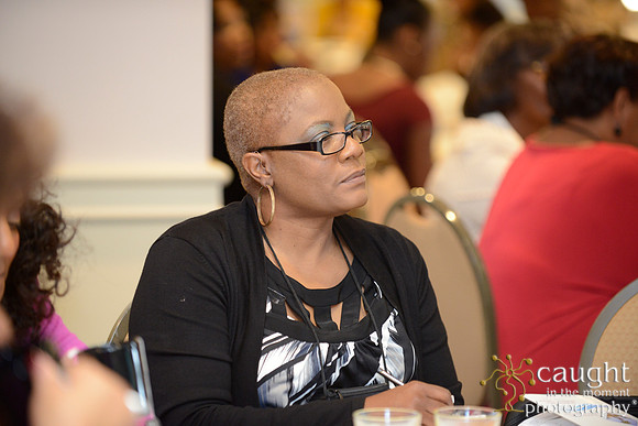 249 National Coalition of 100 Black Women Biennial Conference 2015