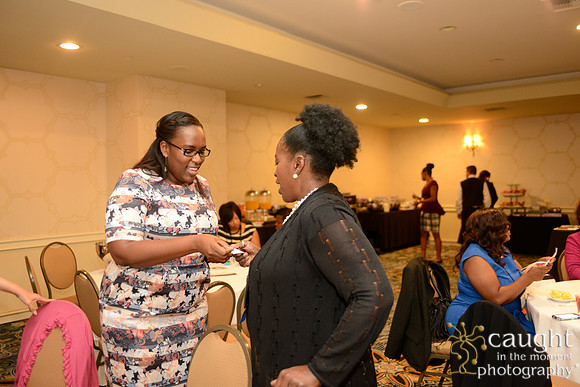 276 National Coalition of 100 Black Women Biennial Conference 2015