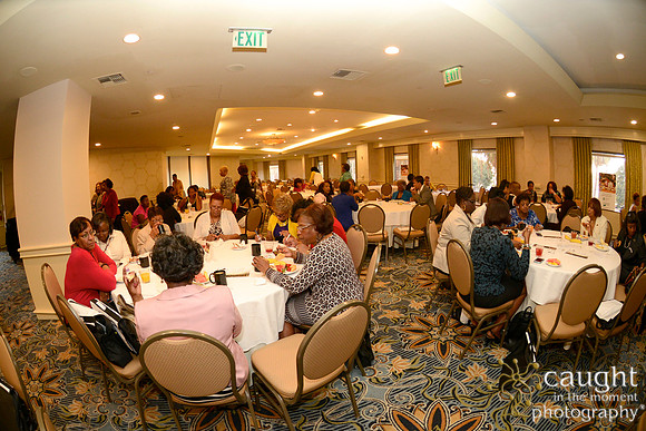 228 National Coalition of 100 Black Women Biennial Conference 2015