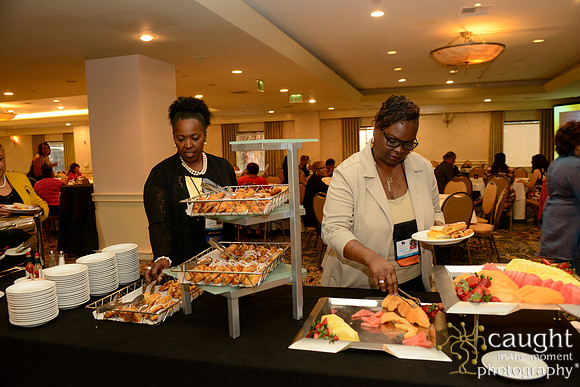 213 National Coalition of 100 Black Women Biennial Conference 2015