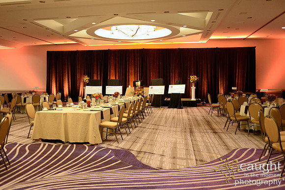 510 National Coalition of 100 Black Women Biennial Conference 2015