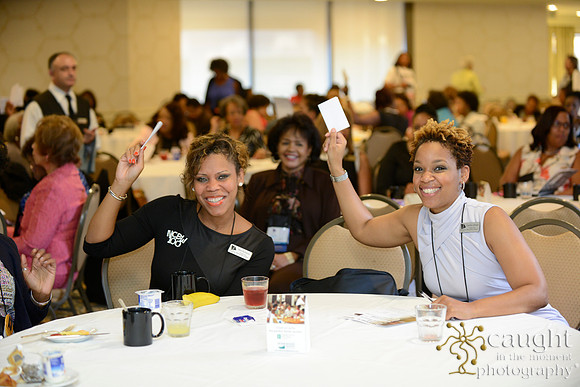 261 National Coalition of 100 Black Women Biennial Conference 2015
