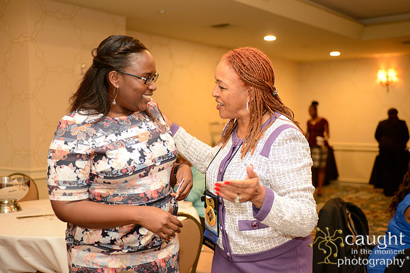 278 National Coalition of 100 Black Women Biennial Conference 2015