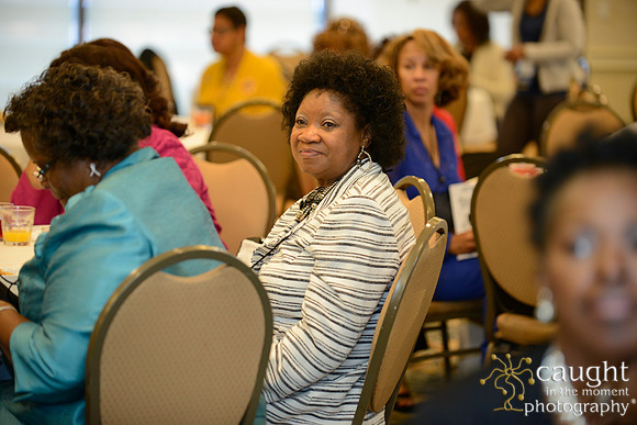253 National Coalition of 100 Black Women Biennial Conference 2015