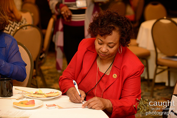 233 National Coalition of 100 Black Women Biennial Conference 2015