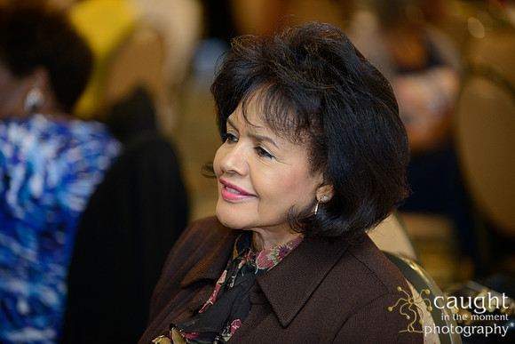 254 National Coalition of 100 Black Women Biennial Conference 2015