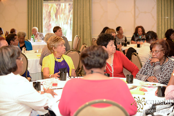 243 National Coalition of 100 Black Women Biennial Conference 2015