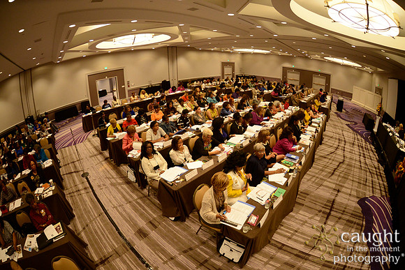 314 National Coalition of 100 Black Women Biennial Conference 2015