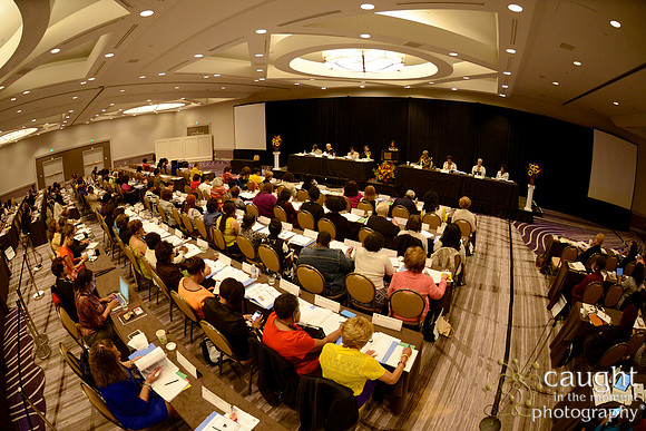 313 National Coalition of 100 Black Women Biennial Conference 2015