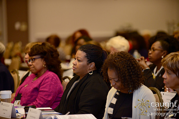 306 National Coalition of 100 Black Women Biennial Conference 2015