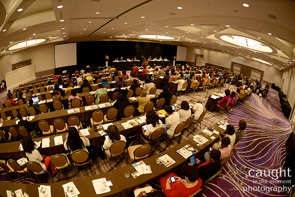 310 National Coalition of 100 Black Women Biennial Conference 2015