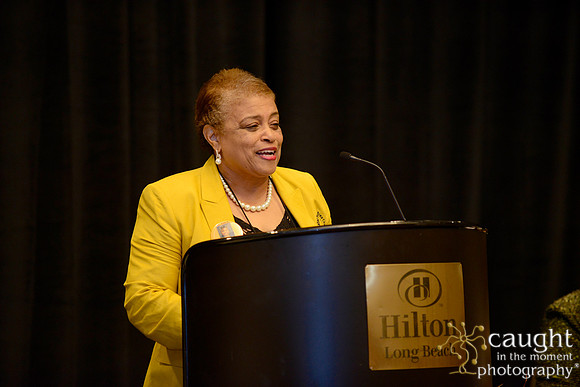 319 National Coalition of 100 Black Women Biennial Conference 2015