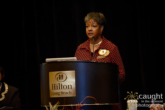 300 National Coalition of 100 Black Women Biennial Conference 2015