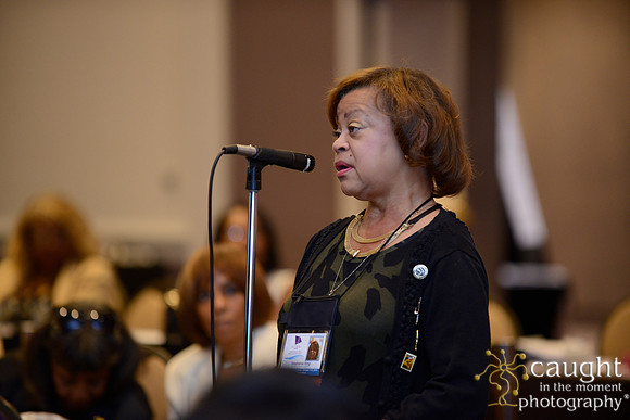 375 National Coalition of 100 Black Women Biennial Conference 2015