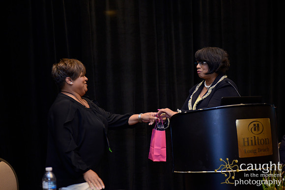 391 National Coalition of 100 Black Women Biennial Conference 2015