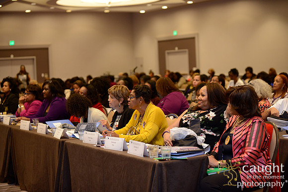 495 National Coalition of 100 Black Women Biennial Conference 2015