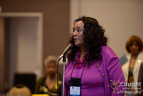 379 National Coalition of 100 Black Women Biennial Conference 2015