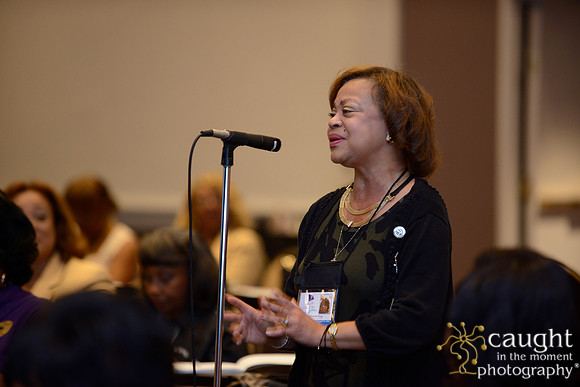378 National Coalition of 100 Black Women Biennial Conference 2015