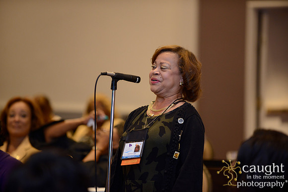 376 National Coalition of 100 Black Women Biennial Conference 2015