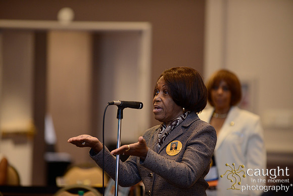 381 National Coalition of 100 Black Women Biennial Conference 2015